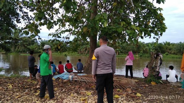 Sungai tempat Hasmila (40) hilang diterkam buaya di Mamuju Tengah (dok. Istimewa).