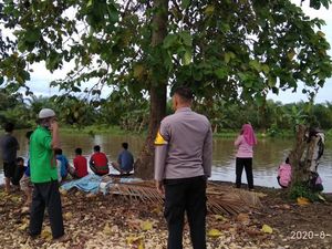 Wanita yang Hilang Diterkam Buaya di Mamuju Tengah Ditemukan Tewas