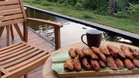 Di Terrario Tangkahan, traveler bisa lebih dekat menikmati alam Tangkahan yang masih asri dan sangat indah, sambil emnikmati pisang goreng dan teh hangat. Foto diambil jauh sebelum pandemi Corona. (Mega Anjasmoro/dTraveler)
