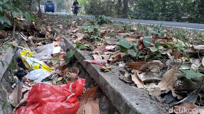 Tumpukan sampah yang diminati monyet penghuni Cagar Alam Sukawayana