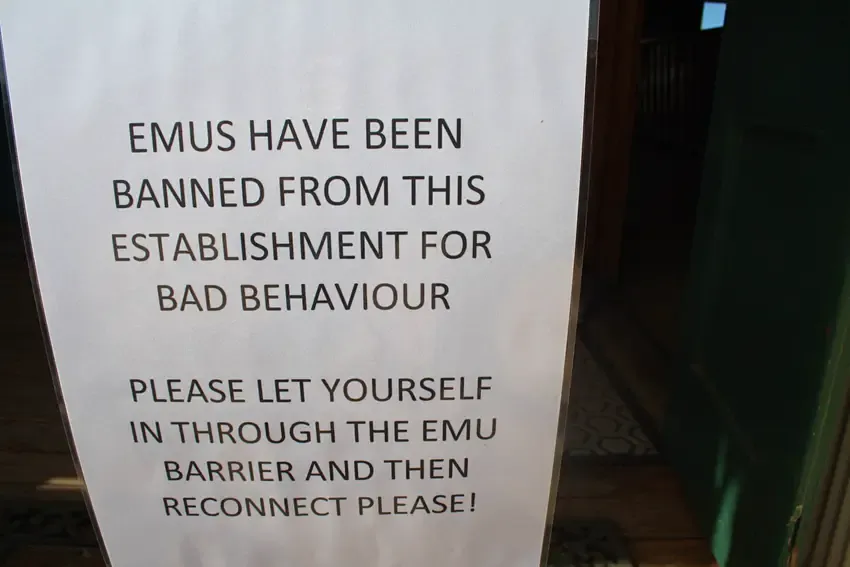 emu di  Yaraka Hotel