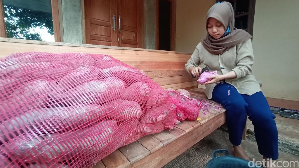 Mau Beli Gadis Manis dari Kudus Ini Jual Getuk Tengu yang Mau Beli Gadis Manis dari Kudus Ini Jual Getuk Tengu yang