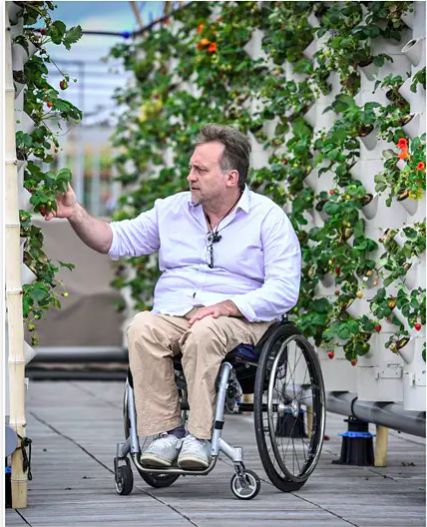 kebun di atap paris