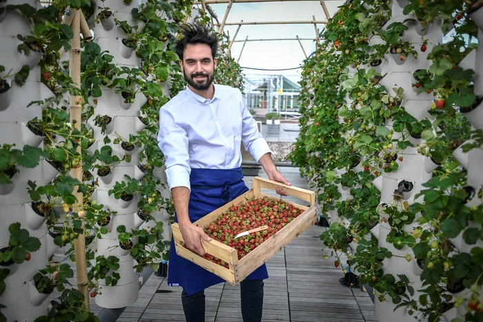 kebun di atap paris