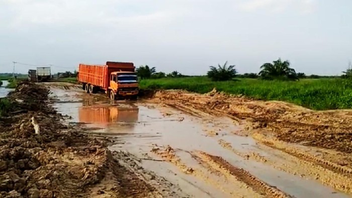 Jalan di Desa Sontang Riau Ini Rusak Hanya Truk  Besar  