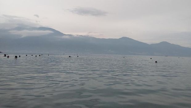 Pantai di Palu.