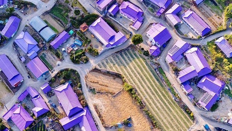 Purple Island, Wisata Hits Korea yang Serba Ungu