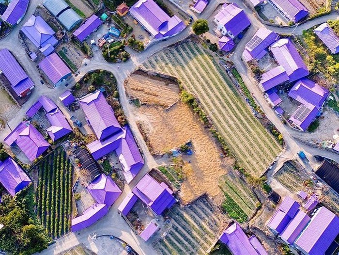 Purple Island, Korea Selatan
