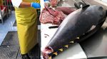 Keren! Perusahaan Ini Produksi Seafood Segar yang Ramah Lingkungan