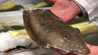 Kini mereka berhasil mempertahankan proses pengelolaan seafood yang lebih ramah lingkungan. Serta memasoknya ke lebih dari 20 restoran di Amerika. Foto: Instagram @kingsseafood