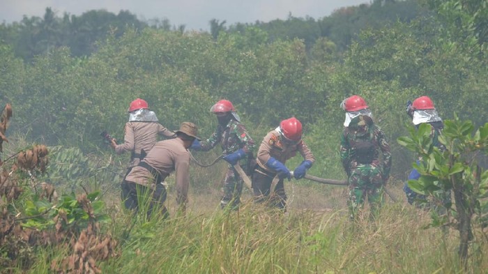 TNI-Polri Gelar Simulasi Penanganan Karhutla di Kalsel