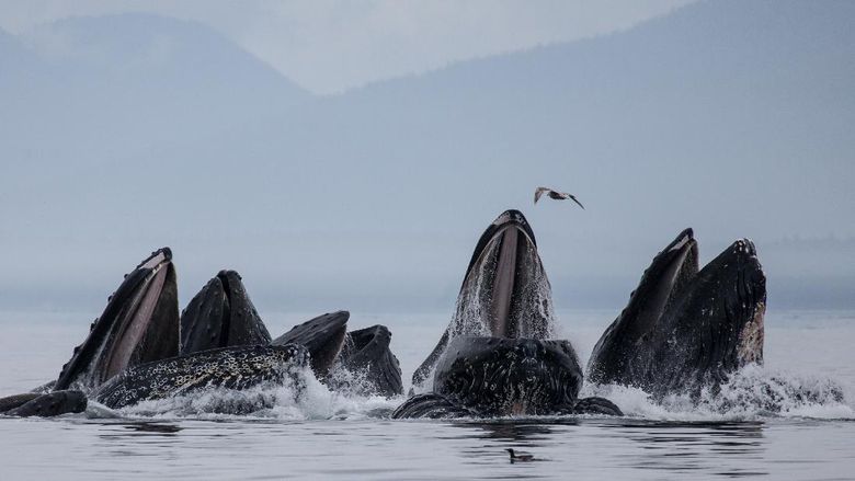 6 kayak terepik di dunia 6 kayak terepik di dunia
