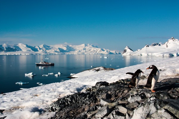 Di Pulau Cuverville, Antartika kamu akan temui koloni penguin. Kamu kayak sembari melihat para penguin nongkrong di batu-batu, seluncuran di gunung es, berenang dan menyelam di laut, bahkan mereka berenang di bawah kayak kita. (iStock) Di Pulau Cuverville, Antartika kamu akan temui koloni penguin. Kamu kayak sembari melihat para penguin nongkrong di batu-batu, seluncuran di gunung es, berenang dan menyelam di laut, bahkan mereka berenang di bawah kayak kita. (iStock)