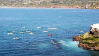 Nah di San Diego ada namanya Pantai La Jolla. Waktu terbaik datang ke sini adalah Juli-September. Karena di bulan-bulan itu kamu bisa menemukan hiu macan tutul berenang berbondong-bodong. (iStock)