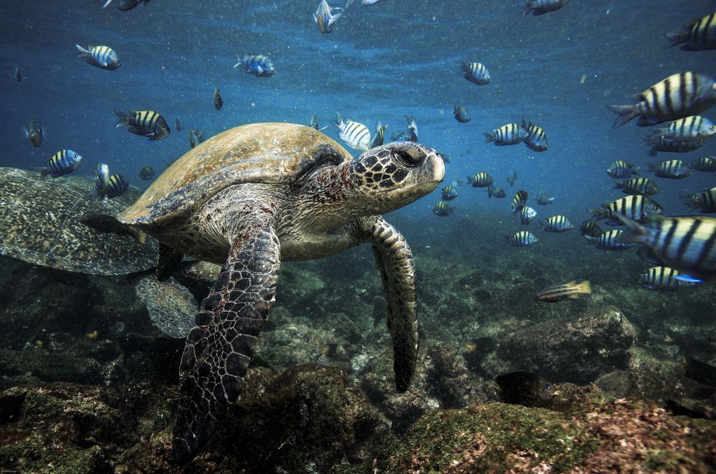 6 kayak terepik di dunia
