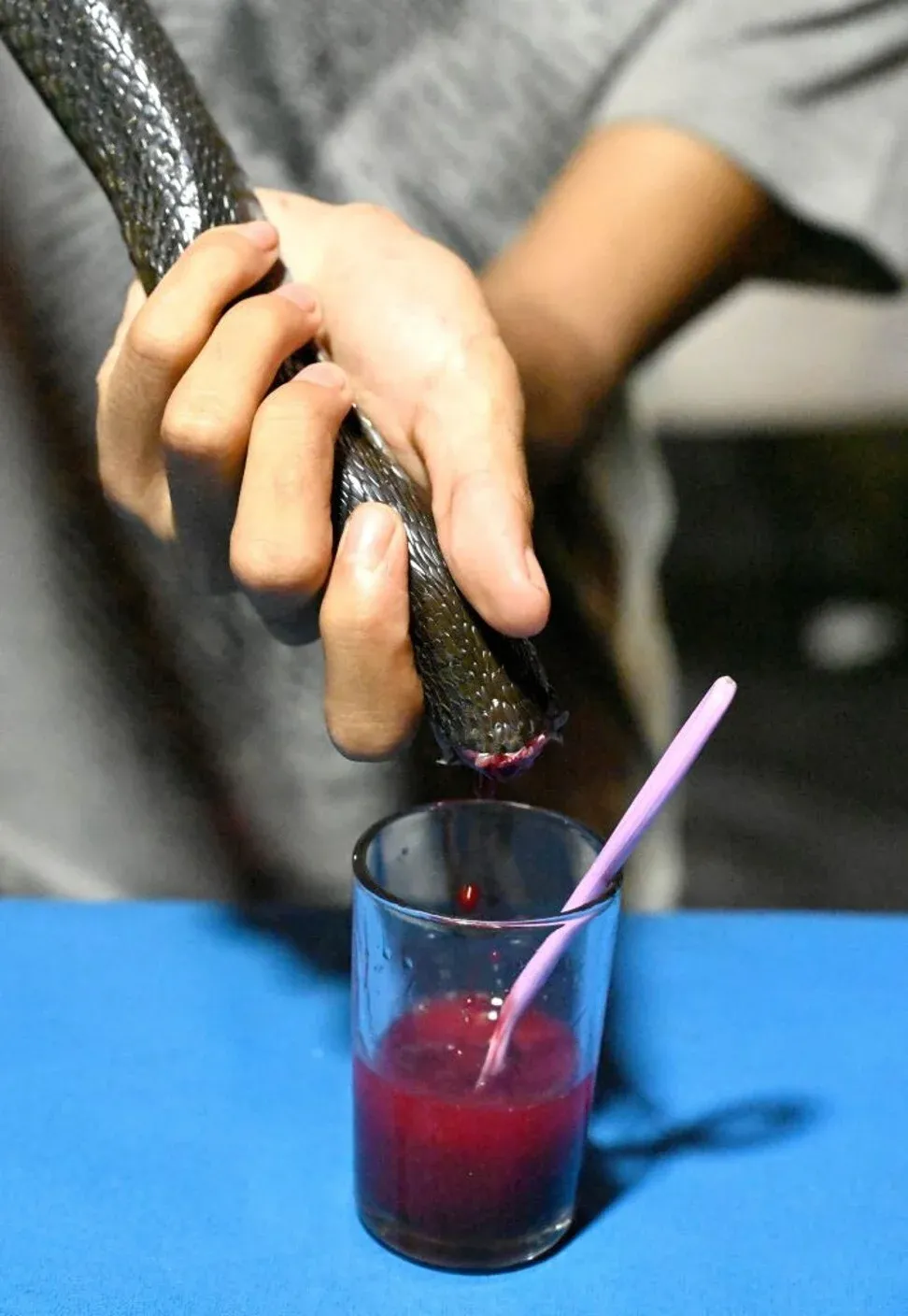 Budaya Makan Darah Hewan di Dunia