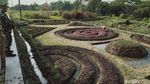 Foto-foto Crop Circle yang Geger di Klaten