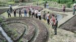 Foto-foto Crop Circle yang Geger di Klaten