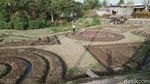 Foto-foto Crop Circle yang Geger di Klaten
