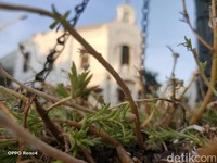 Hasil Foto Oppo Reno4 di Kota Lama Semarang