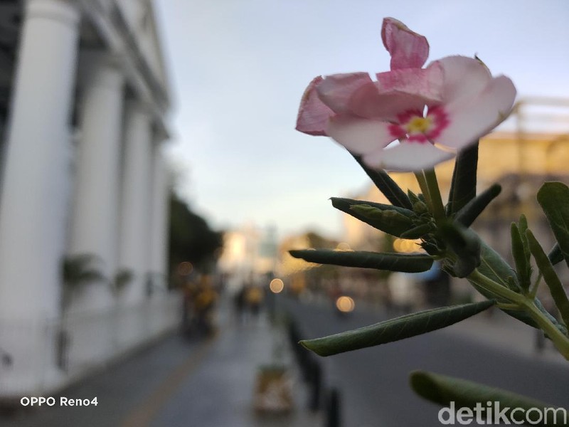 Hasil Foto Oppo Reno4 di Kota Lama Semarang