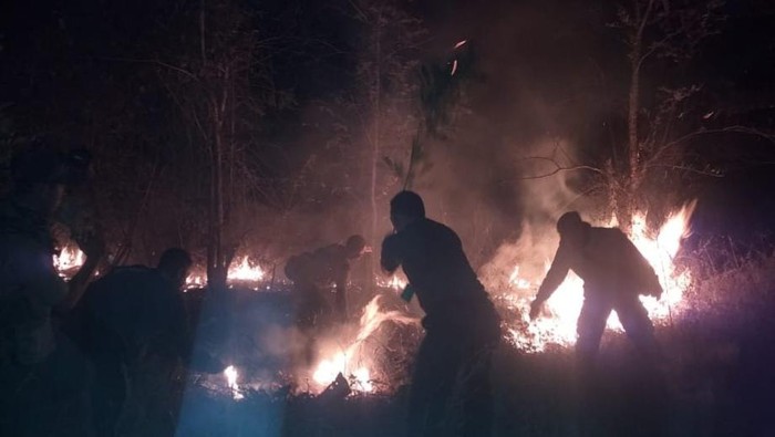 Hutan Baluran terbakar
