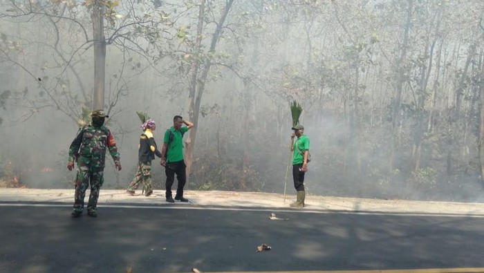 Hutan Baluran terbakar