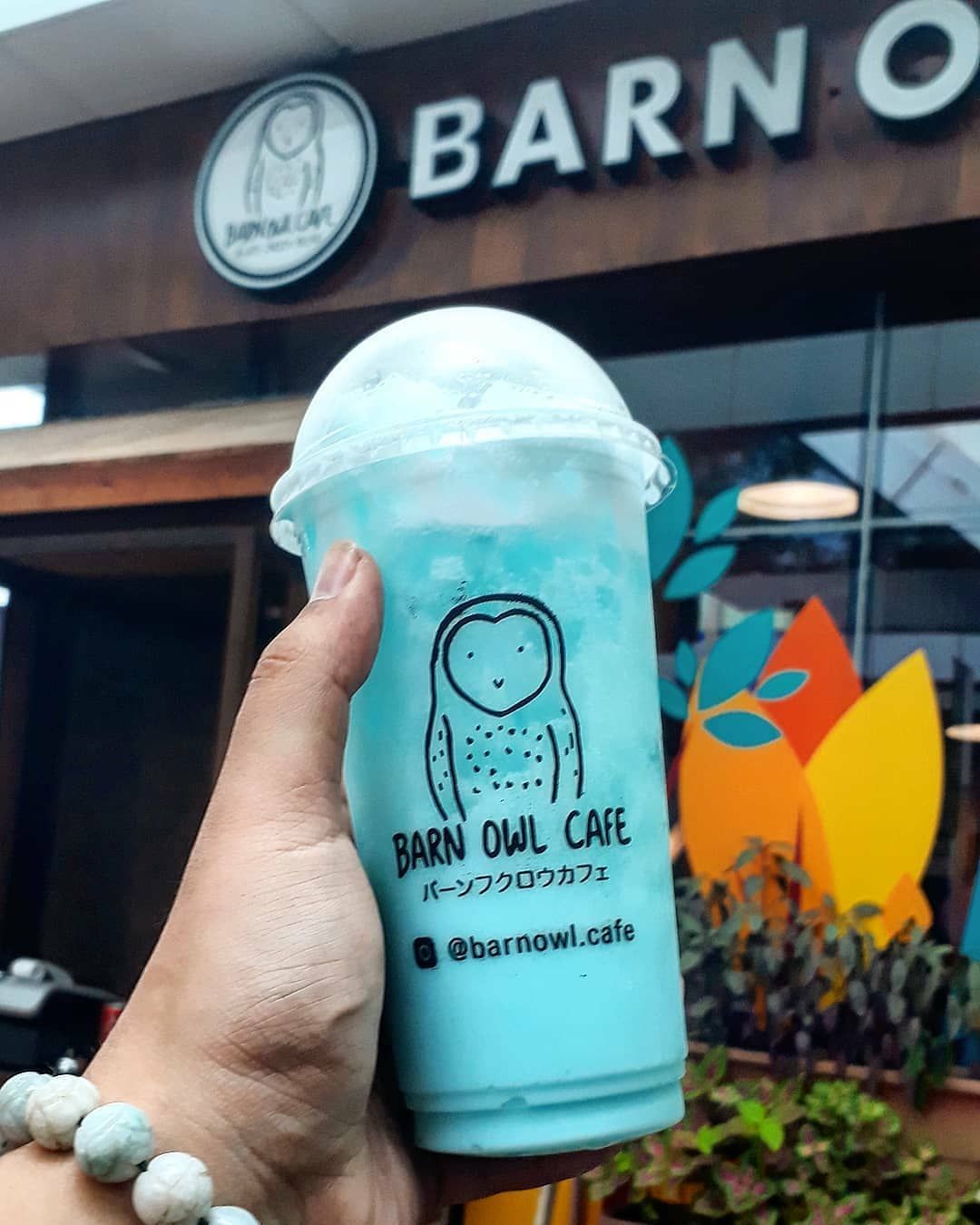 Uniknya Kafe Burung Hantu