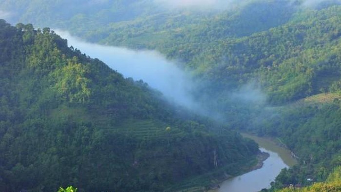 Kebun Buah Mangunan negeri di atas awan yogyakarta