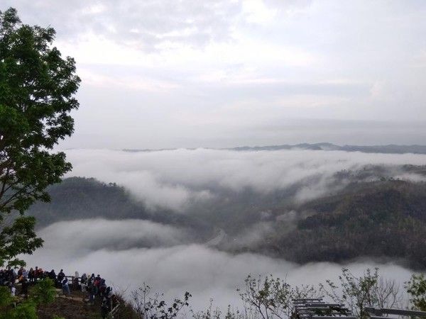 Kebun Buah Mangunan negeri di atas awan yogyakarta