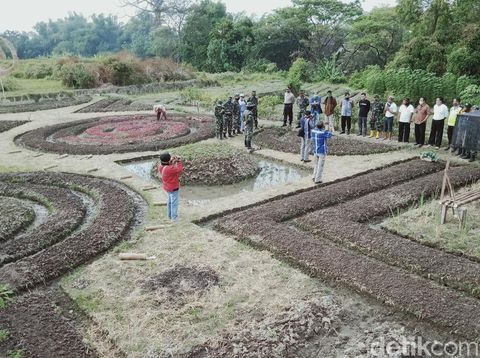 Ladang bermotif batik di Kecamatan Polanharjo, Klaten, Kamis (6/8/2020).
