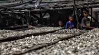 Dengan total sampel 2.068 responden (di dalamnya nelayan, pelaku usaha perikanan, pemilik kapal dan lainnya).