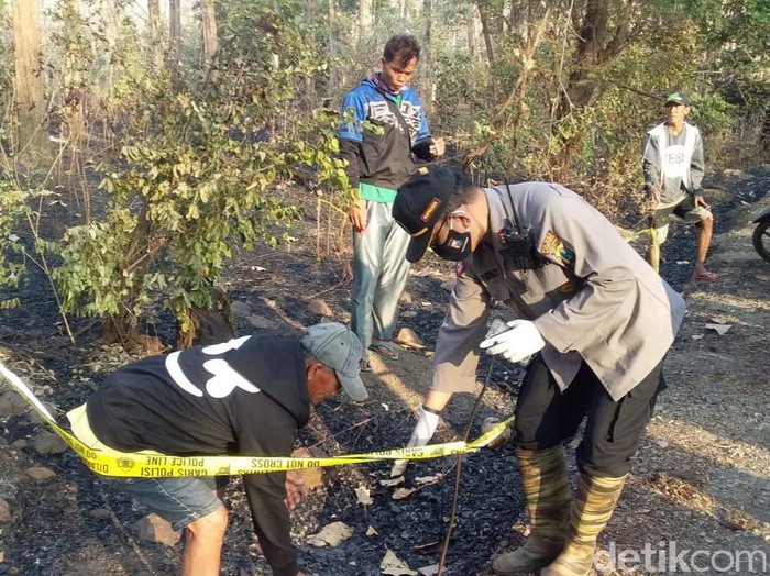 Kerangka manusia ditemukan di sisa kebakaran hutan Taman Nasional (TN) Baluran, Situbondo. Mayat yang sudah tinggal tulang itu terbungkus kantong plastik warna hitam.