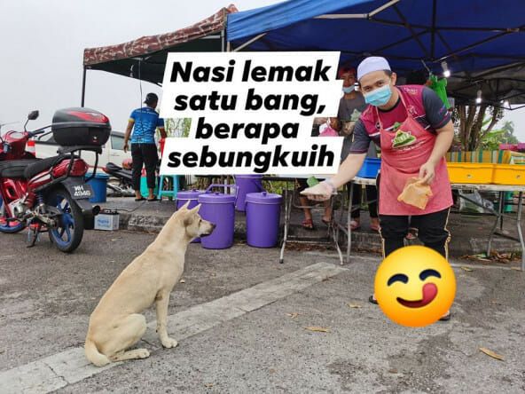 Pintarnya! Anjing Ini Ikut Antre Beli Nasi Lemak