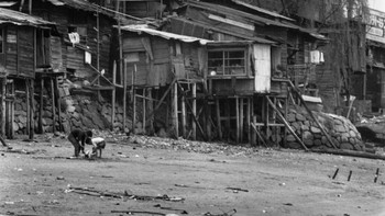 Oppenheimer, menurut penulis biografinya Kai Bird dan Martin J Sherwin, merayakan pemboman Hiroshima dan Nagasaki itu. Sebuah laporan tahun 1995 di The Atlantic menyebut ruangan dipenuhi siulan dan sorak-sorai dan Oppenheimer mendapat ucapan selamat usai bom dijatuhkan. Foto: Getty Images