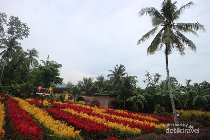 Taman Bunga Kebon Asri