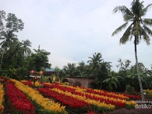 Taman Bunga Tersembunyi di Klaten, Kamu Tahu?