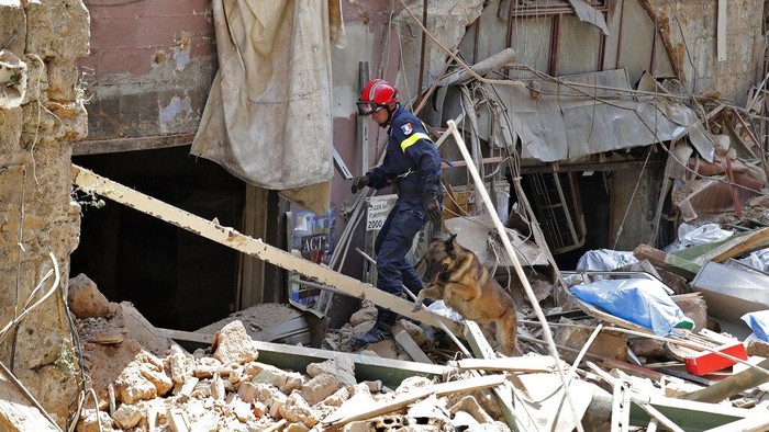 Anjing pelacak dikerahkan untuk bantu proses evakuasi dan pencarian korban ledakan di Lebanon. Hingga kini diketahui nyaris 150 orang tewas akibat ledakan itu
