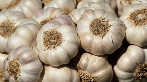 Cincin di Bawang Putih