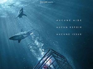 Sinopsis 47 Meters Down: Terjebak di Kedalaman Laut Dikelilingi Hiu Ganas
