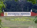 Universitas Indonesia Buka Prodi AI, Ini Matkul dan Guru Besarnya