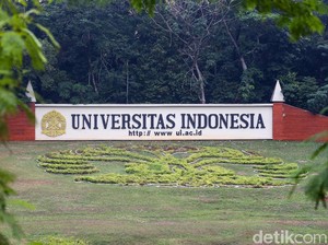 Universitas Indonesia Buka Prodi AI, Ini Matkul dan Guru Besarnya