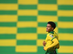 Tawaran Liverpool untuk Jamal Lewis Ditolak Norwich