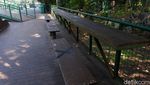 Lima Bulan Ditutup, Begini Kondisi Babakan Siliwangi Forest Walk