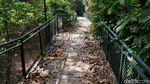 Lima Bulan Ditutup, Begini Kondisi Babakan Siliwangi Forest Walk