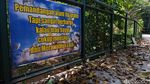 Lima Bulan Ditutup, Begini Kondisi Babakan Siliwangi Forest Walk