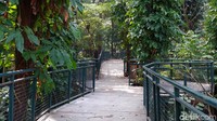 Babakan Siliwangi Forest Walk ini sudah berdiri sejak Januari 2018. Di hari biasa, wisatawan dapat berkunjung secara gratis. Pembukaan kembali tempat wisata ini masih belum dapat ditentukan waktunya mengingat wabah pandemi masih berlangsung di Kota Bandung.