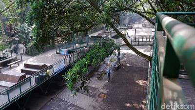 Lima Bulan Ditutup, Begini Kondisi Babakan Siliwangi Forest Walk