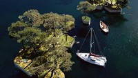 Taman apung ini akan terbuka dan gratis untuk semua orang, warga lokal maupun turis mancanegara. Istimewa/dok.Bored Panda/Copenhagen Islands  