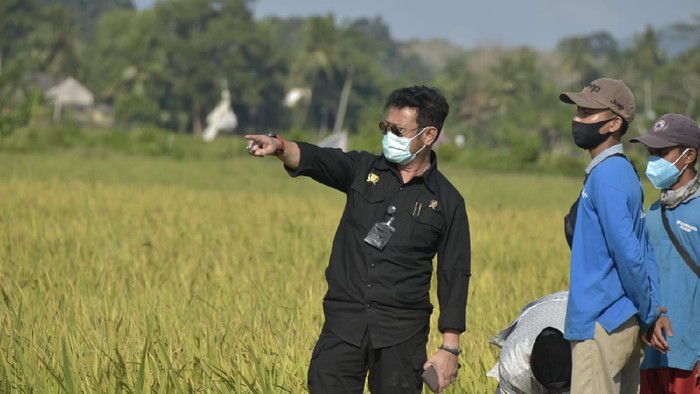 Mentan Syahrul Yasin Limpo